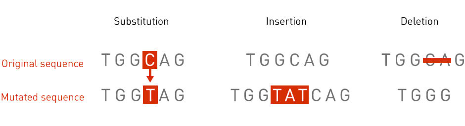 point, deletion and insertion mutations