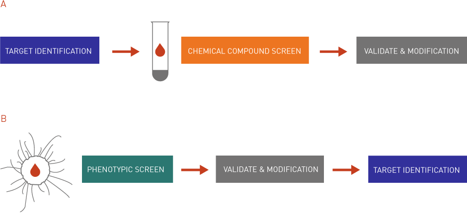 chemical genetics and drug screening using microorganisms