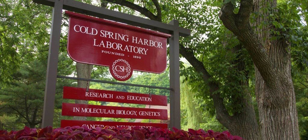 cold spring harbour lab