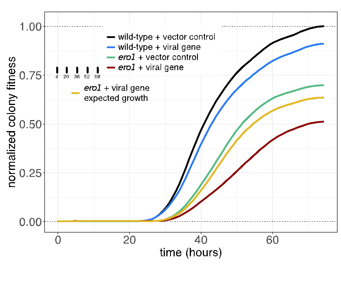 growth curve from sceenMill R package