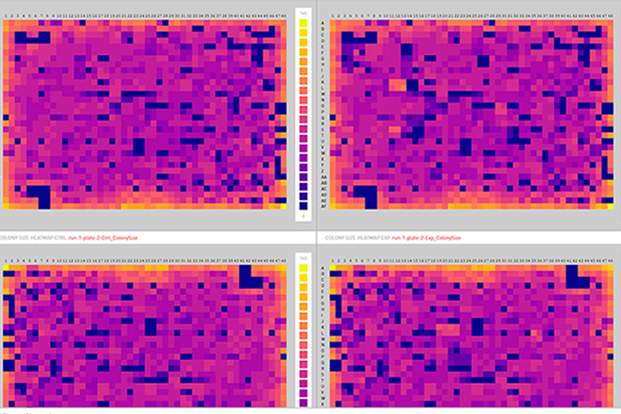 PhenoBooth+_colonyscreening_heatmap