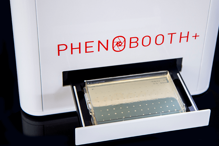 Petri dish loaded in tray