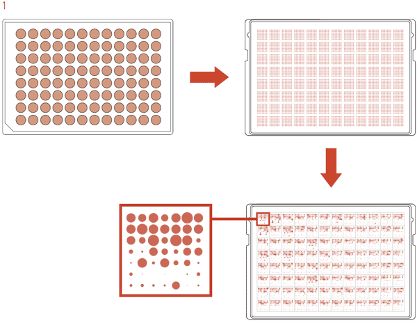 96 array plate