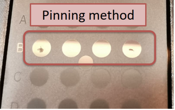 Figure 2. The two automated bacterial transfer methods were employed. The pin method (far left) ‘dabs’ the picked sample onto a spot on the target surface, while the smear method (left) forms a smear across the target surface.