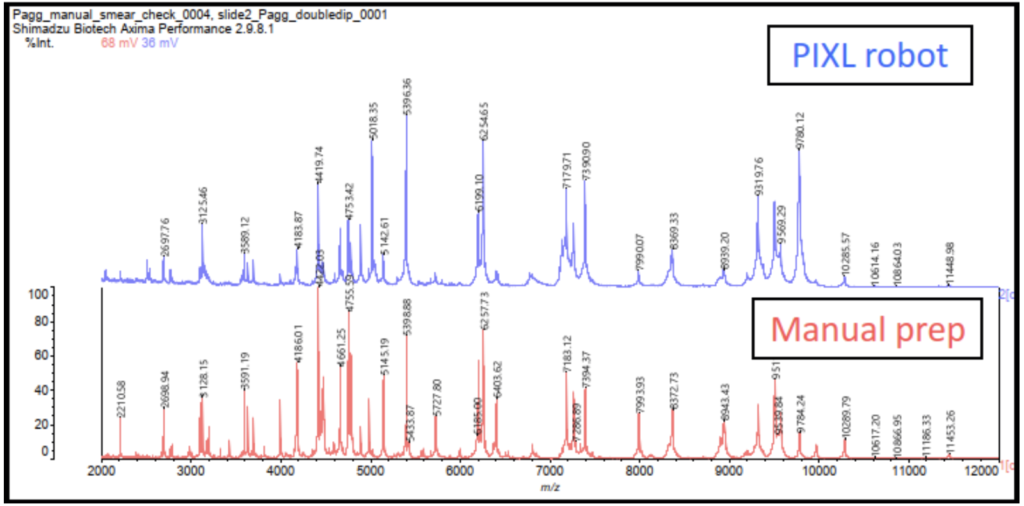 Figure 6. Representative MALDI-TOF MS spectra for P. agglomerans with a manually prepared smear sample (in red) and a smear sample prepared with the automated protocol (in blue).