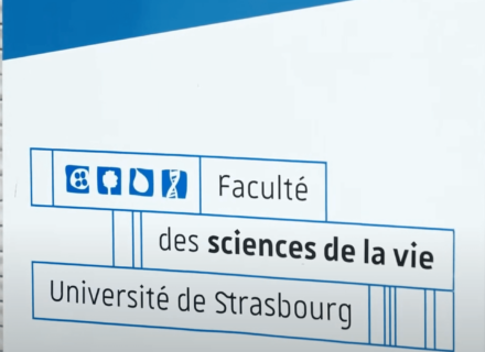 Laboratory for Molecular Genetics, Genomics and Microbiology (GMGM), University of Strasbourg