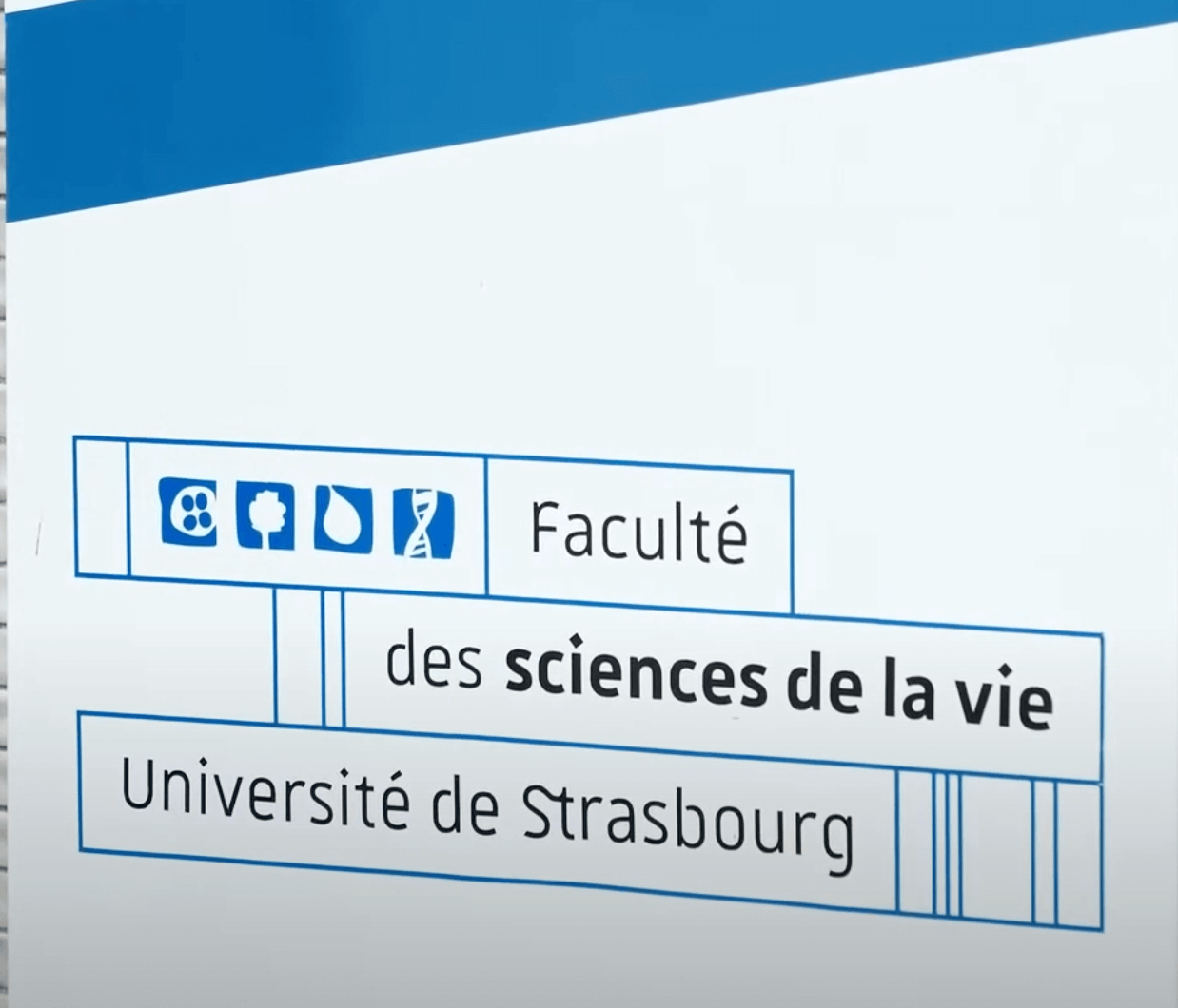 Laboratory for Molecular Genetics, Genomics and Microbiology (GMGM), University of Strasbourg