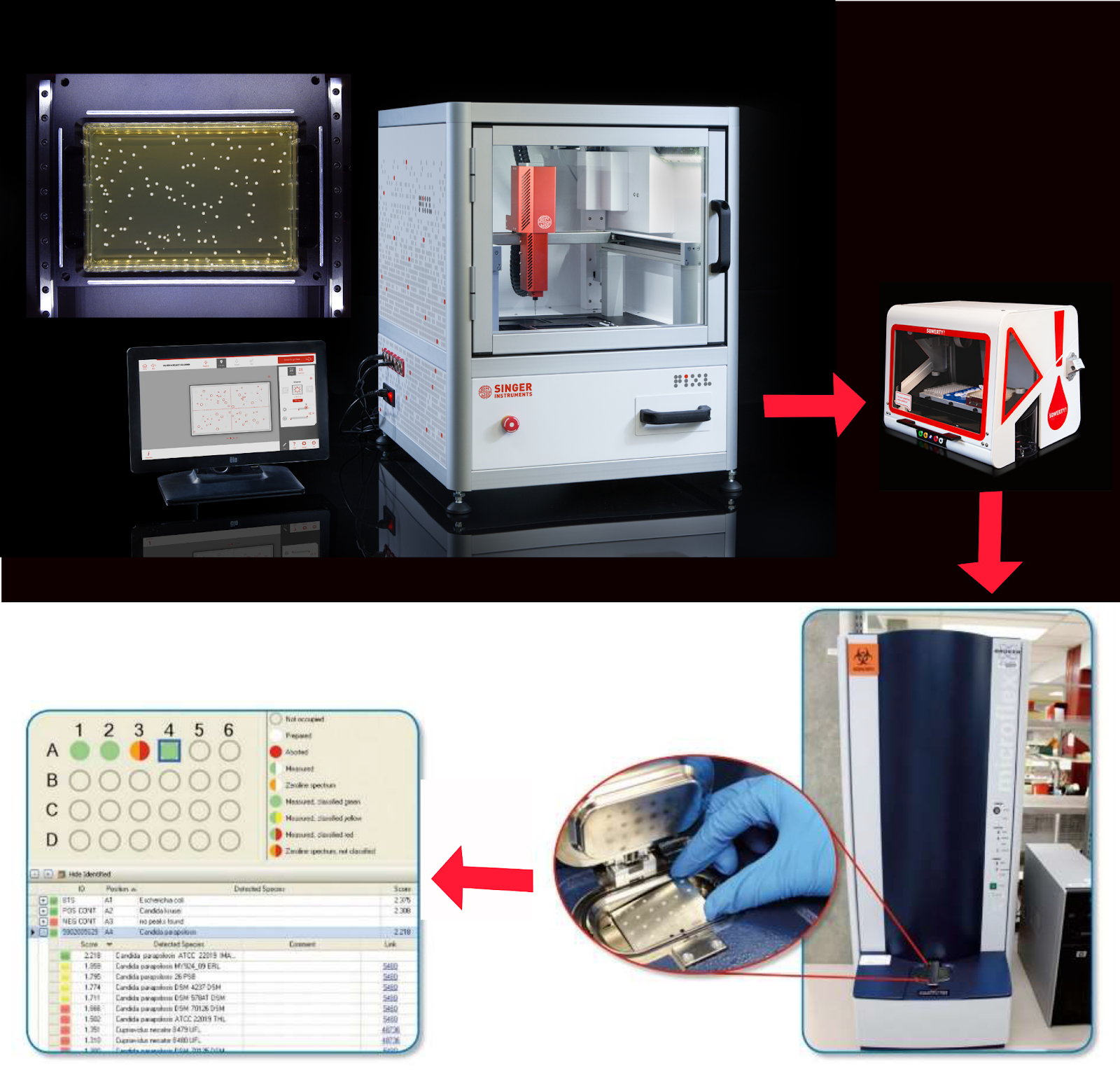A benchtop solution for end-to-end automation of MALDI-TOF target plate ...