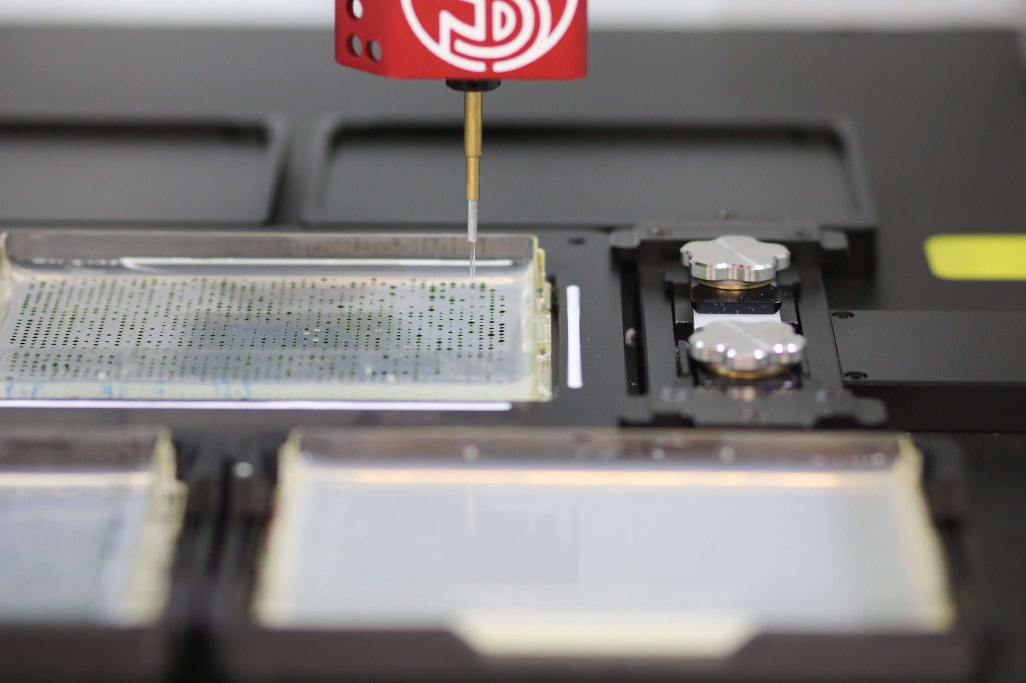 PIXL picking Algal Chlamydomonas