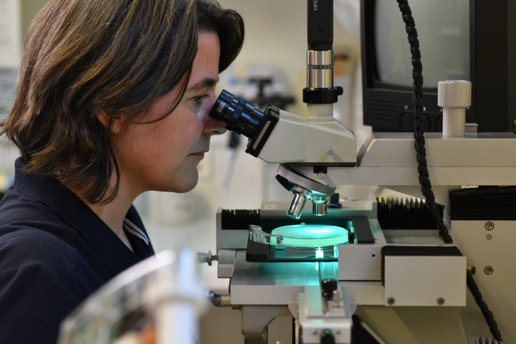 Dr Sandrine Bujaldon observes Chlamydomonas reinhardtii on an agar plate using the MSM tetrad dissection microscope from Singer Instruments. This is a key part of algae research.
