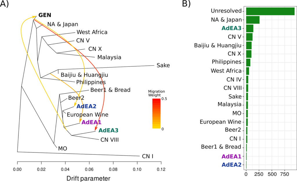 From https://doi.org/10.1371/journal.pgen.1011223 Yeast genetic drift for wine making