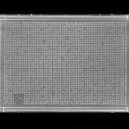 24576 density array made using ROTOR