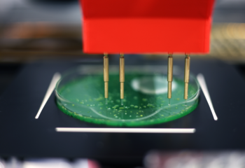 PIXL Max picks colonies from a green petri dish