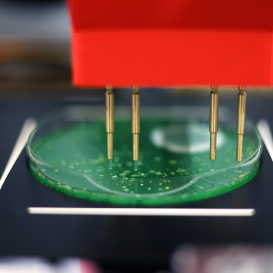 PIXL Max picks colonies from a green petri dish