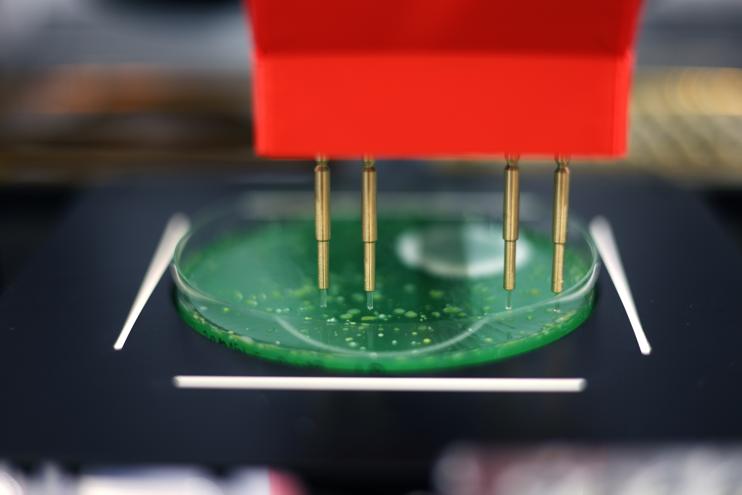 PIXL Max picks colonies from a green petri dish