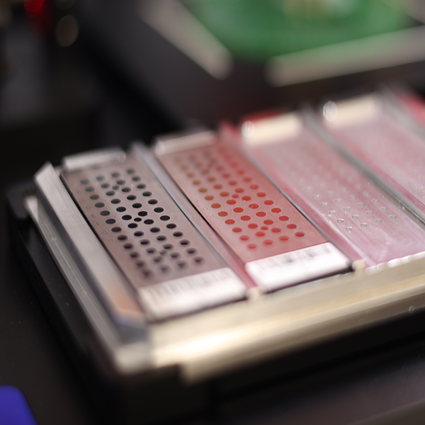 A close up of a maldi-tof plate