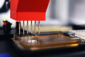 A close up of the thick red PIXL Max picking head with 6 independent picking channels. These channels are simultaneously pinning onto a blank YPD agar PlusPlate.