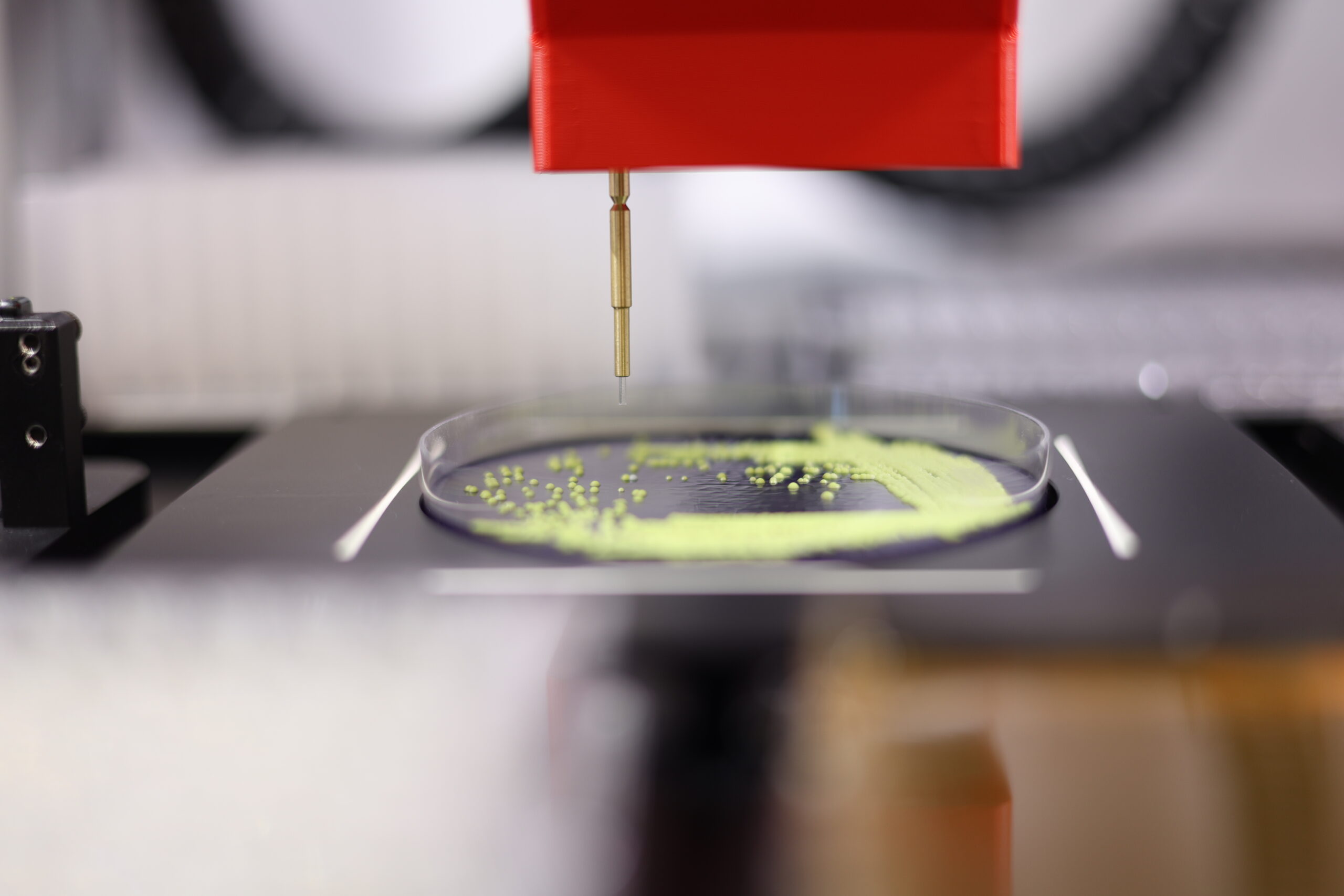 PIXL Max's picking head hovers above a petri dish with bright green colonies
