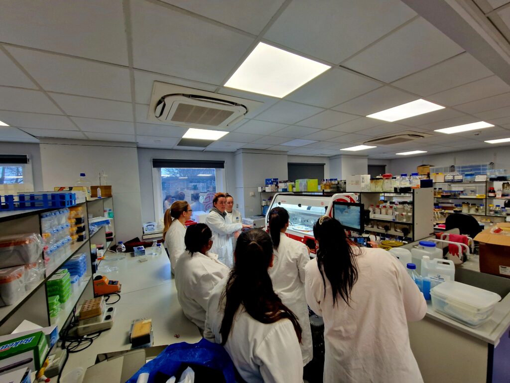 Researchers studying the evolution of antimicrobial resistance in a laboratory setting.