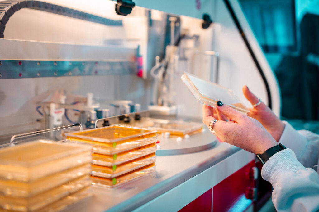 Two hands with black fingernails and silver rings hold an agar SBS plate up. The unseen figure appears to be looking at the results of the antifungal screen. There are 90 other plates like it placed on the surface of ROTOR+, the high-throughput screening robot. 